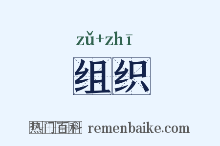 组织是什么意思的图片